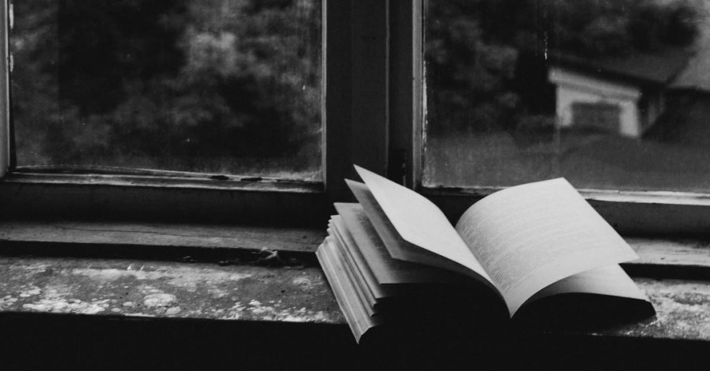 quiet paragraph: a wholesome&nbsp;surprise